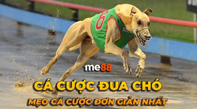 Tải xuống APK Nohu90 cho điện thoại iOS và máy tính - Nohu90