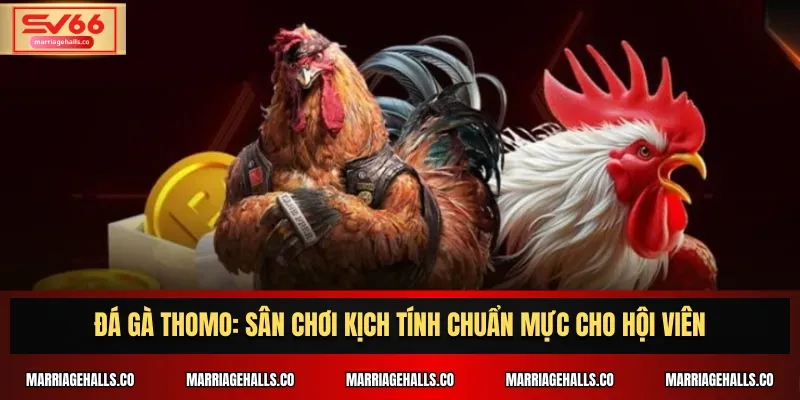 88Go thường xuyên cập nhật sảnh trò chơi của mình - 88Go