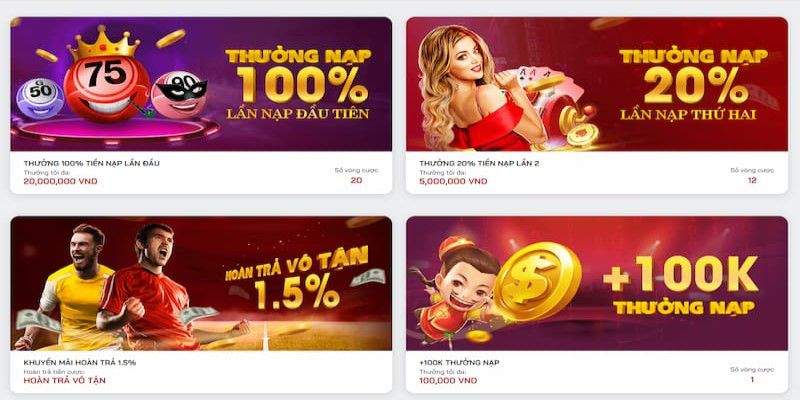 Bạn nên đặt loại cược nào tại các công ty cá cược được xếp hạng Betvn? - Betvn