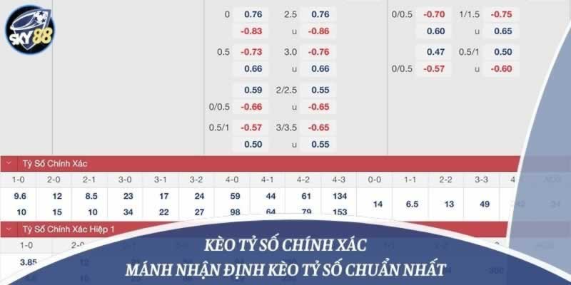 Các hoạt động quảng bá của 130Casino đã được tiến hành tại 130Casino - 130Casino