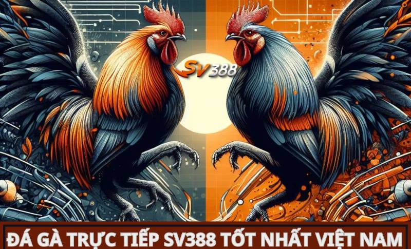 Dịch vụ hỗ trợ cổng game Loto288 24/7 - Loto288