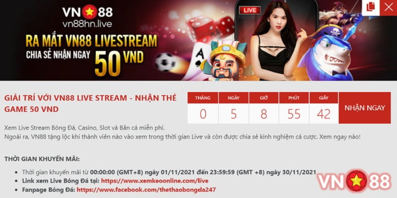 Chiến lược kinh doanh Bigboss - Bigboss