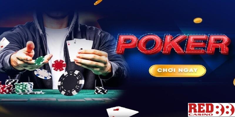 Tại sao Lk88 lại là sự lựa chọn hàng đầu của người chơi cá cược? - Lk88