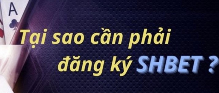 123Win hiện không còn hiệu lực Vui lòng xem các nền tảng được đề xuất của chúng tôi! - 123Win
