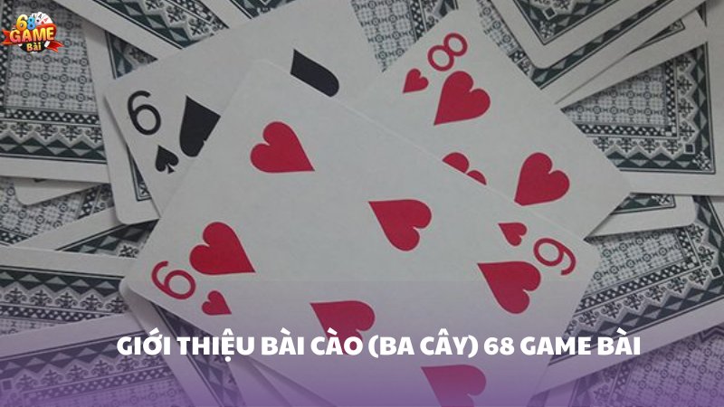 Hướng dẫn tham gia cá cược 88Nn - 88Nn