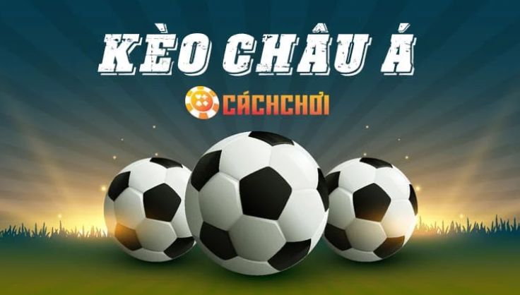 Chứng chỉ uy tín trang web giải trí trực tuyến cấp Dp568 - Dp568
