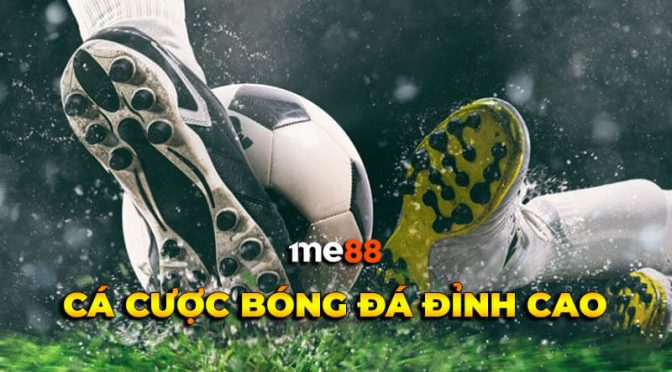 Trải nghiệm tuyệt vời nhất của Tập đoàn Mu9 - Mu9