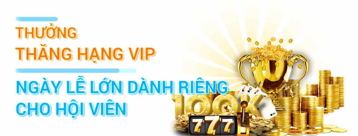 Các dịch vụ do 188Bet House cung cấp - 188Bet