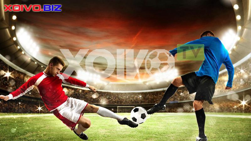 P3bet Club hiện có những nội dung mới nào? - P3bet