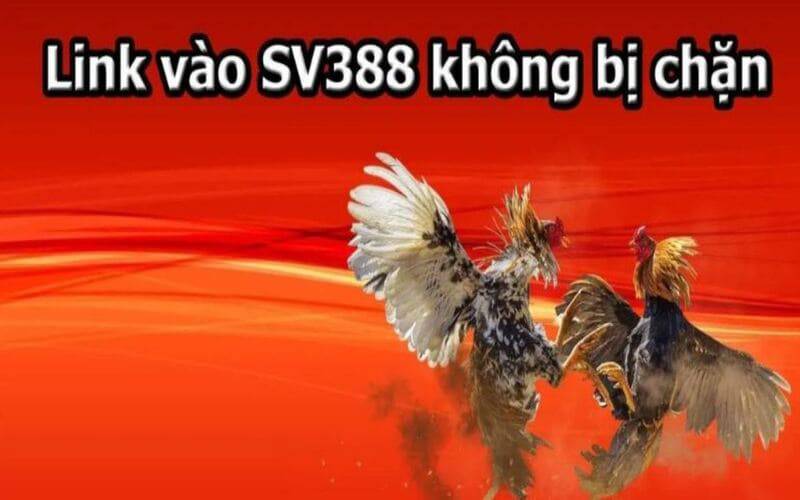 Các bước đăng nhập vào tài khoản Open88 của bạn - Open88