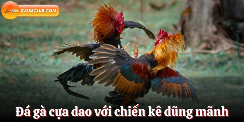 Địa điểm tổ chức trò chơi Sic Bo hạng Sbty Việt Nam - Sbty